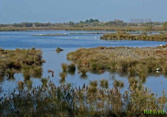 Сен-Мари-де-ла-Мер, Камарг — Франция