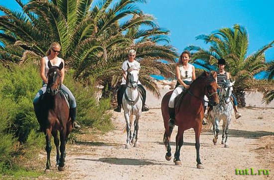 Коста-Дорада - прогулка на лошадях