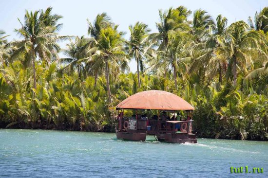 Остров Бохол - экскурсия по реке