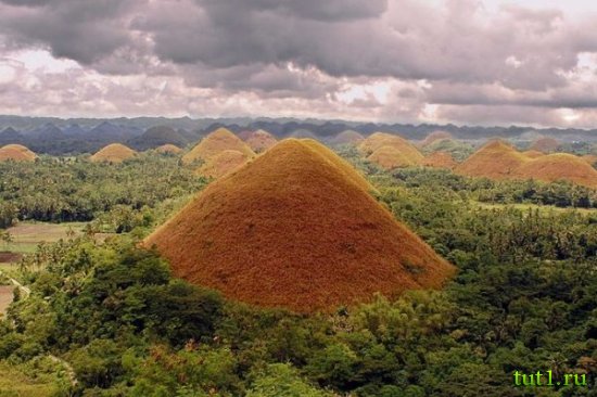 Остров Бохол - Шоколадные холмы