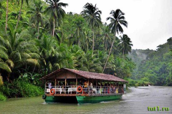 Остров Бохол - экскурсия по реке