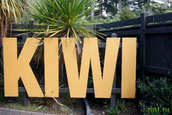 Kiwi Encounter - Новая Зеландия