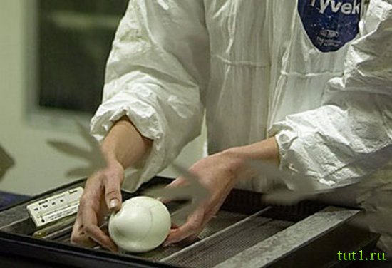 Новая Зеландия - Kiwi Encounter