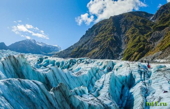 Новая Зеландия - ледник Фокса