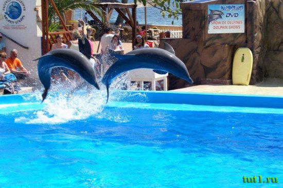 Парк развлечений Marineland - Майорка