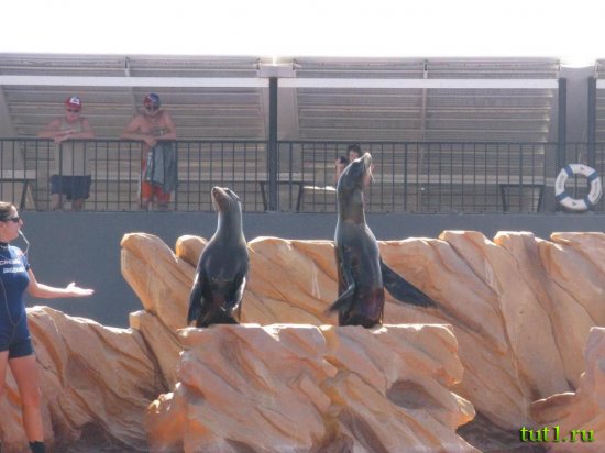 Парк развлечений Marineland - Майорка