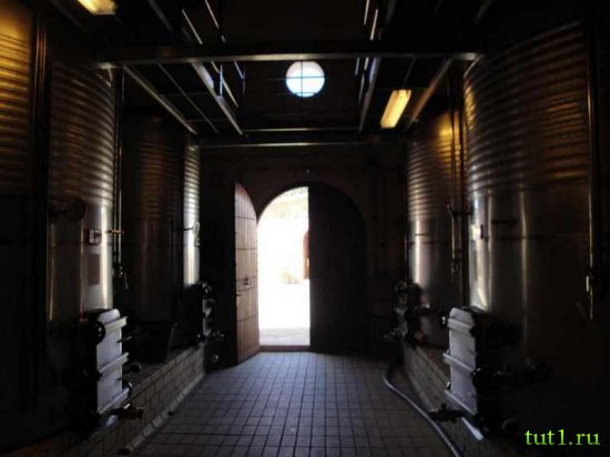 Винный завод Масия Батле (Macia Batle)