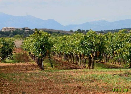 Майорка - Санта-Мария-дель-Ками