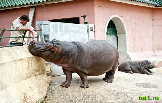 Лиссабонский зоопарк - Португалия