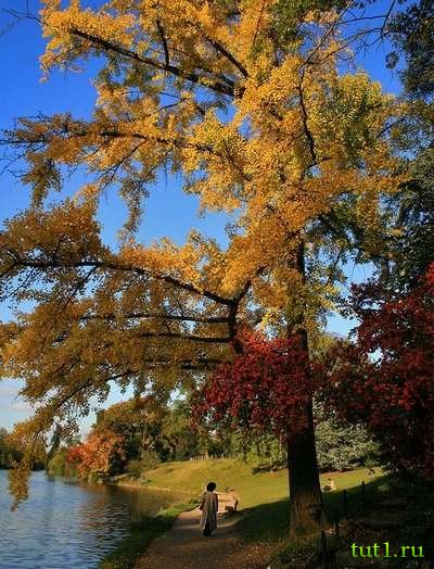 Булонский лес - Париж