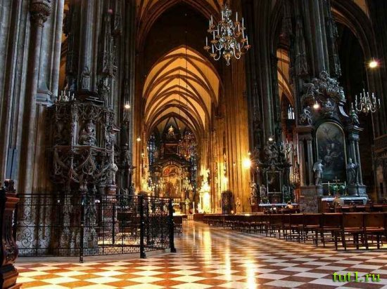 Собор Святого Стефана - Вена