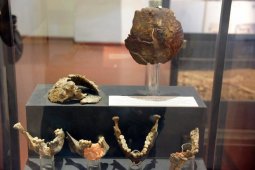 Национальный музей Коломбо - Шри-Ланка