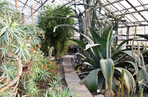 Полтава - Ботанический сад